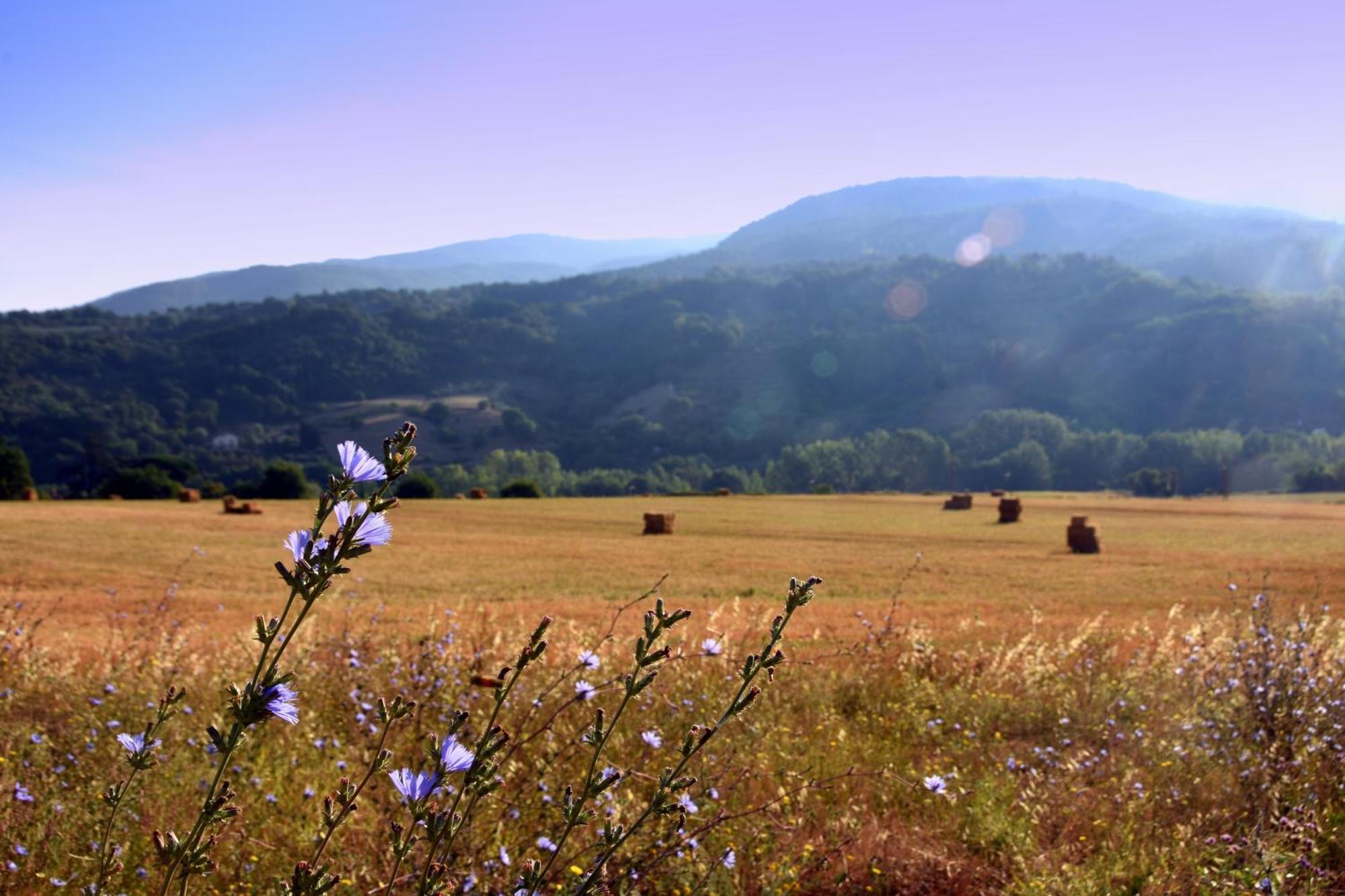 Baciano Azienda Agrituristico Venatoria Каполона Экстерьер фото
