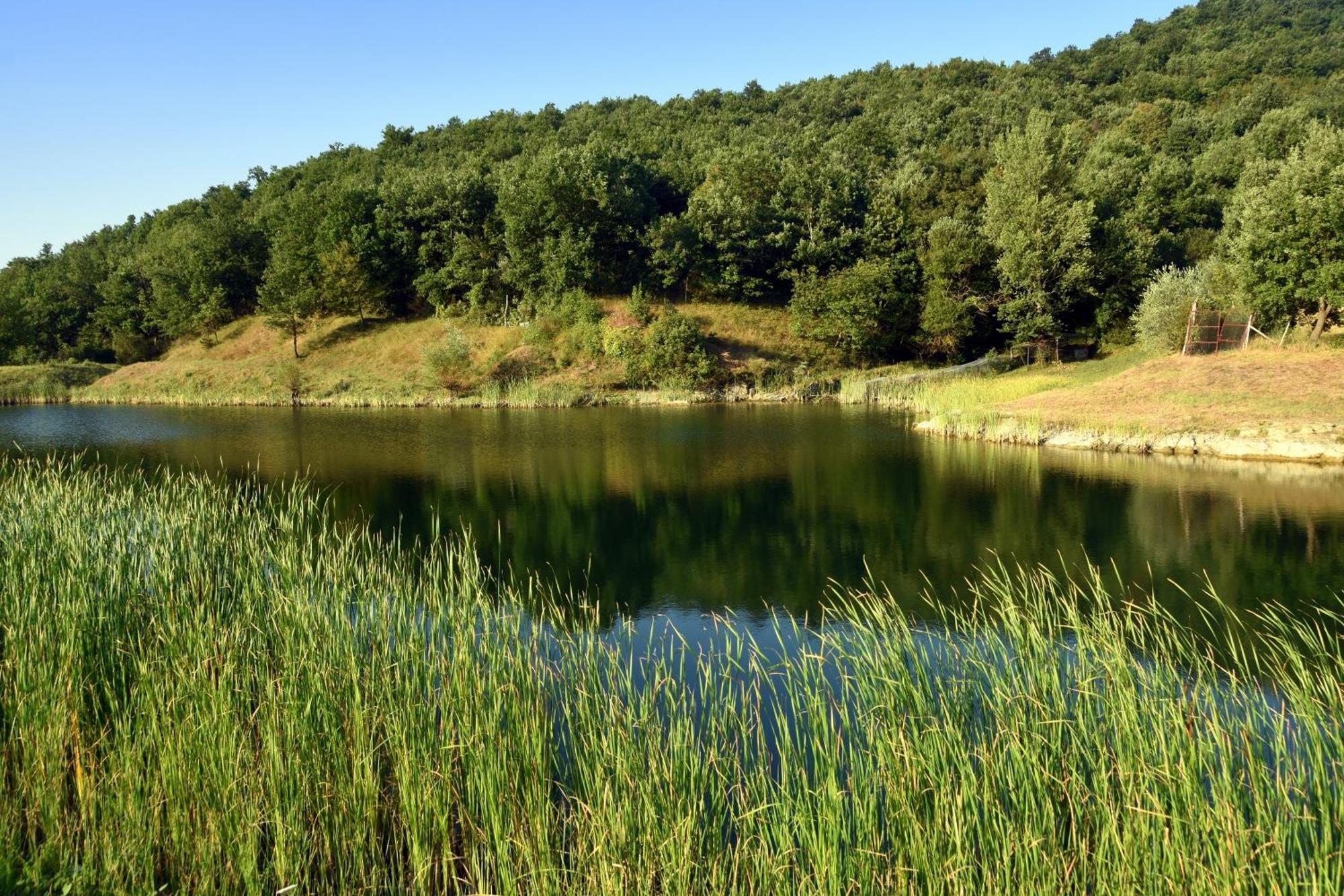 Baciano Azienda Agrituristico Venatoria Каполона Экстерьер фото