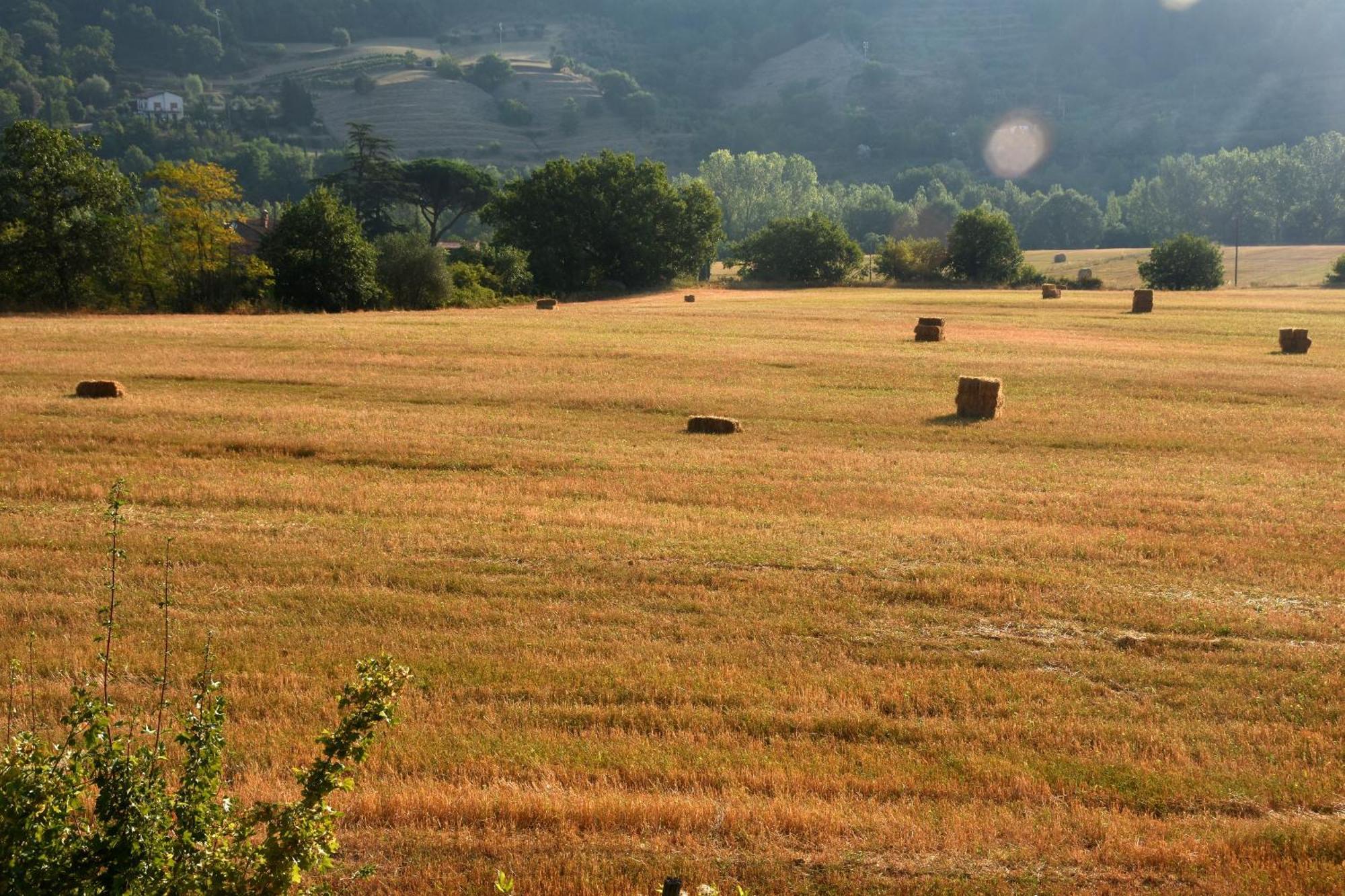 Baciano Azienda Agrituristico Venatoria Каполона Экстерьер фото