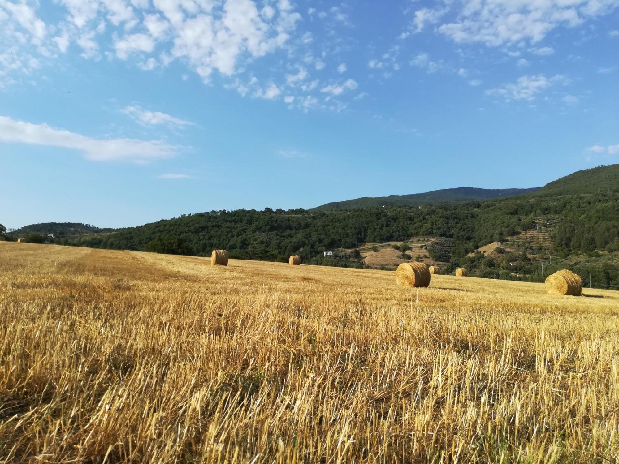 Baciano Azienda Agrituristico Venatoria Каполона Экстерьер фото